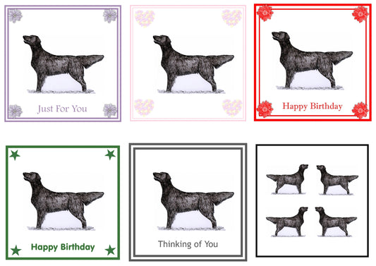 Flatcoat Greeting Card Choice of 6 Designs BIRTHDAY, THINKING OF YOU, BLANK