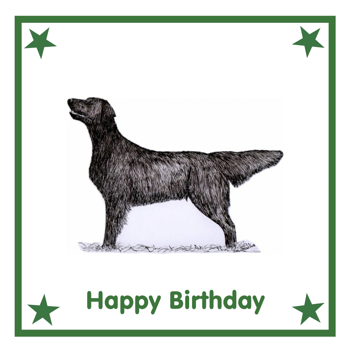 Flatcoat Greeting Card Choice of 6 Designs BIRTHDAY, THINKING OF YOU, BLANK