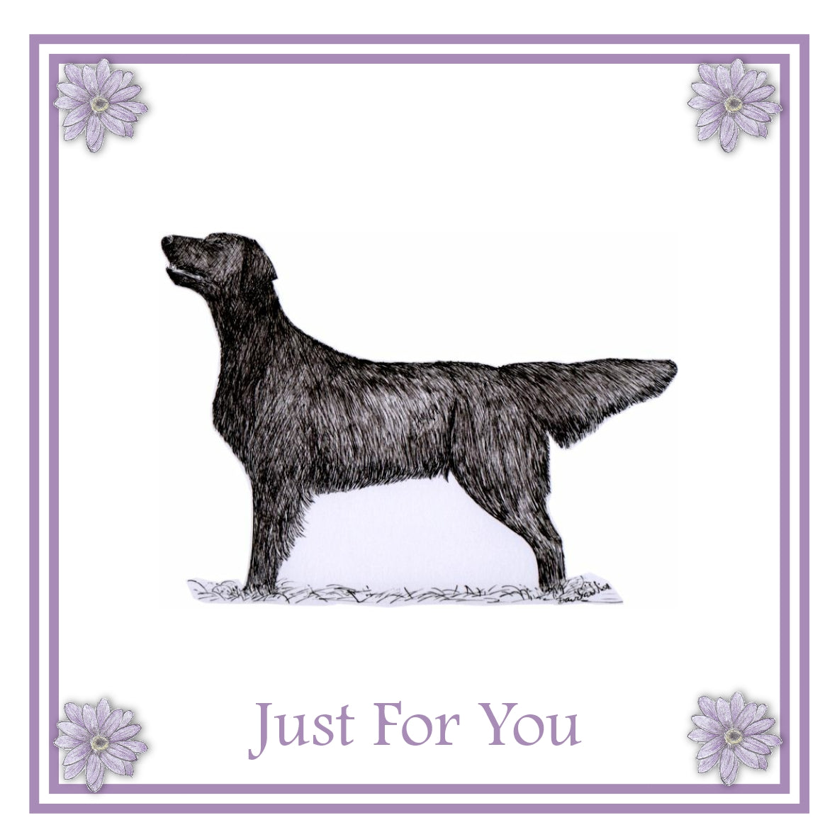 Flatcoat Greeting Card Choice of 6 Designs BIRTHDAY, THINKING OF YOU, BLANK
