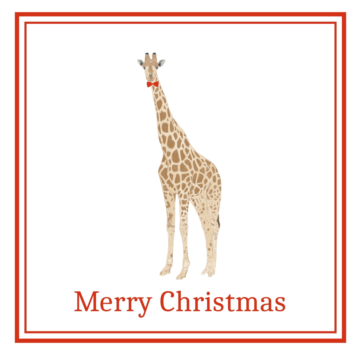 Giraffe Christmas Cards Pack of 6