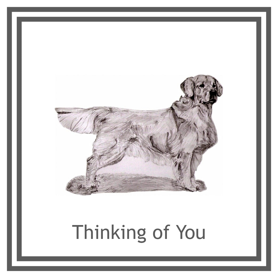 Golden Retriever Greeting Card Choice of 6 Designs BIRTHDAY, THINKING OF YOU, BLANK