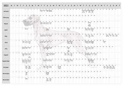 Great Dane Dog Show 2022 Year Planner A4