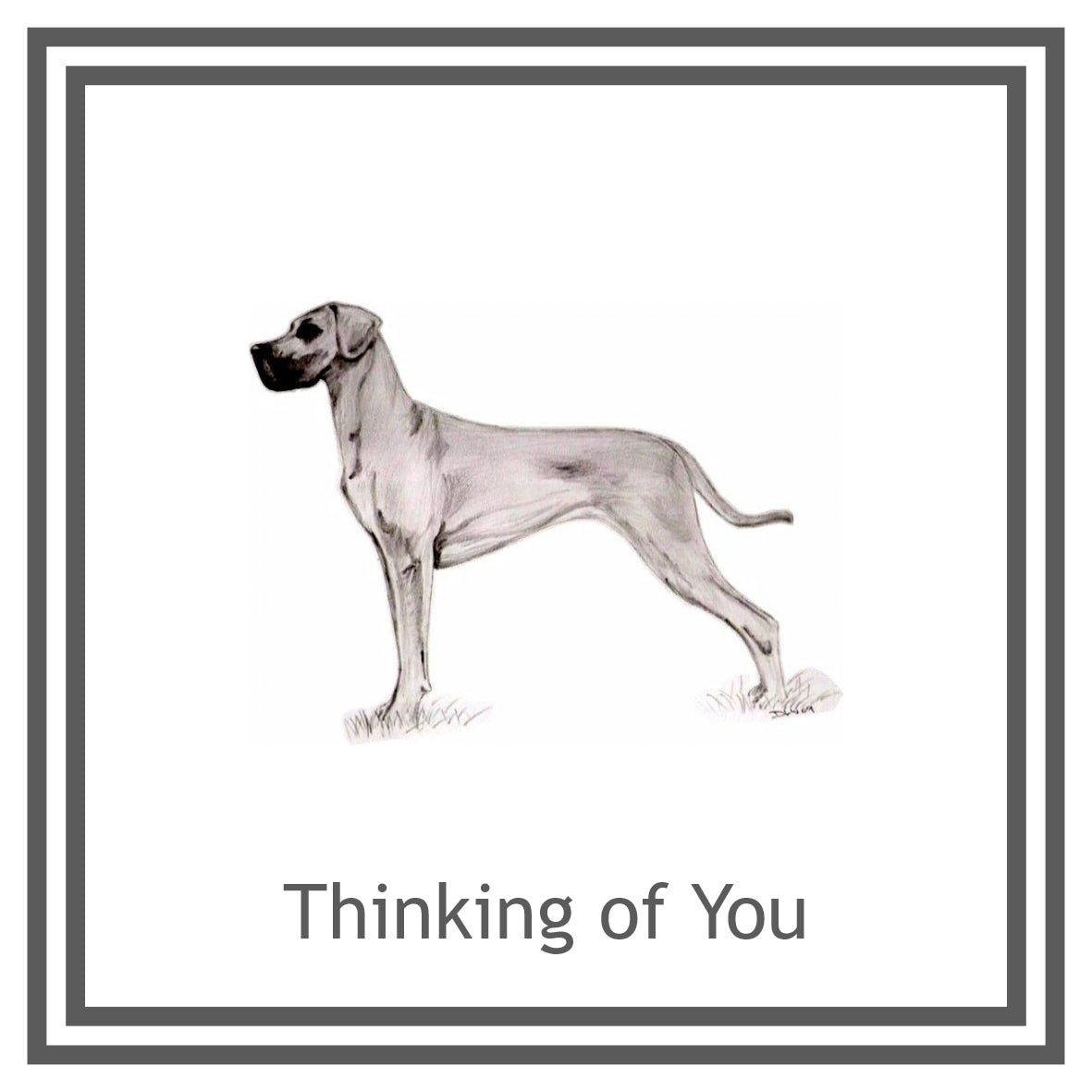 Great Dane Greeting Card Choice of 6 Designs BIRTHDAY, THINKING OF YOU, BLANK