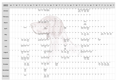 German Shorthaired Pointer GSP Dog Show 2022 Year Planner A4