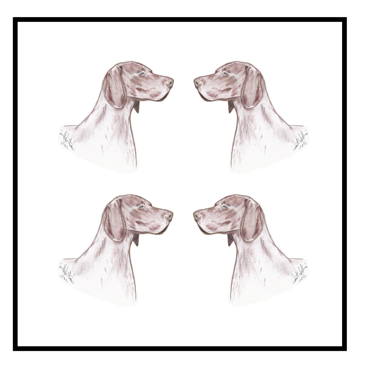 German Shorthaired Pointer Greeting Card Choice of 6 Designs BIRTHDAY, THINKING OF YOU, BLANK