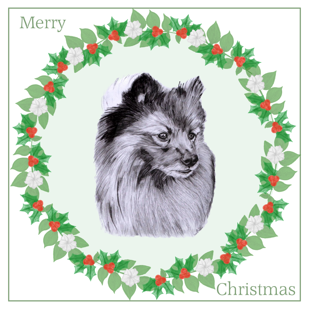 German Spitz Christmas Card Choice of 3 Card Designs Single or Multi Pack