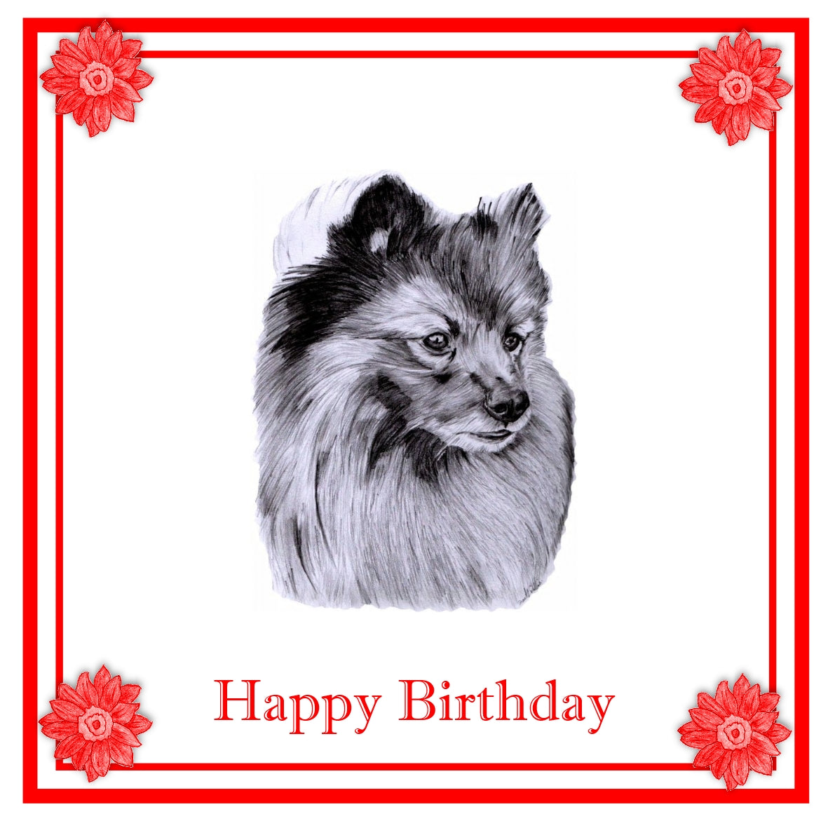 German Spitz Greeting Card Choice of 6 Designs BIRTHDAY, THINKING OF YOU, BLANK