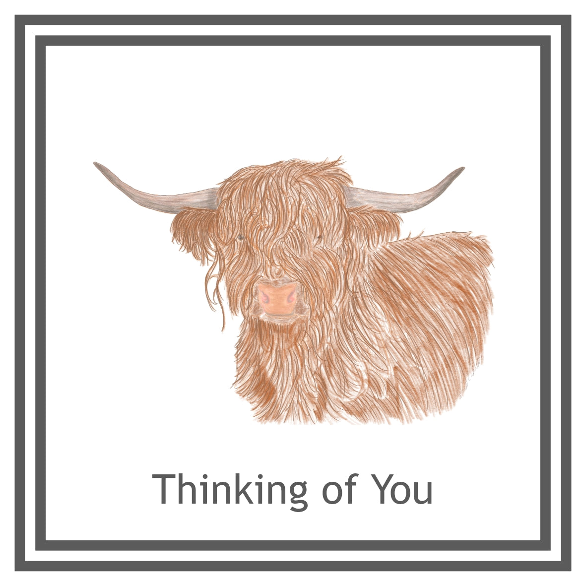 Highland Cow Greeting Card Choice of 6 Designs BIRTHDAY, THINKING OF YOU, BLANK