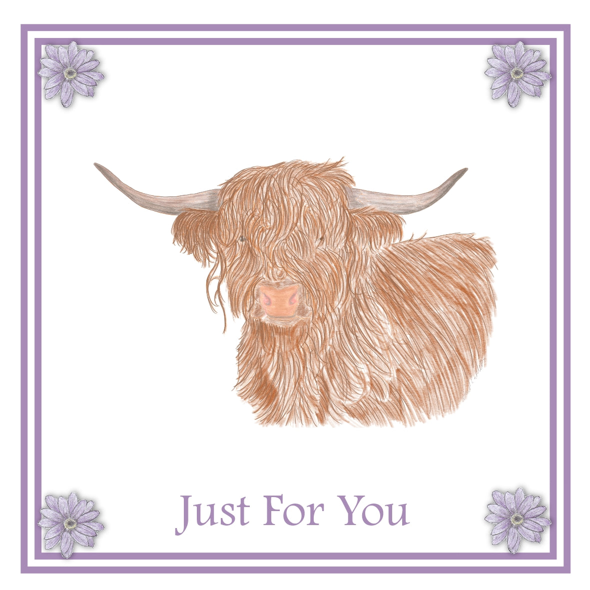 Highland Cow Greeting Card Choice of 6 Designs BIRTHDAY, THINKING OF YOU, BLANK