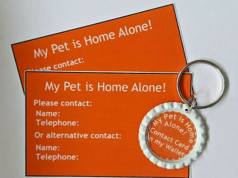 My Pet is Home Alone keyring and owner information cards.