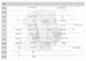 Hungarian W/H Vizsla Dog Show 2022 Year Planner A4