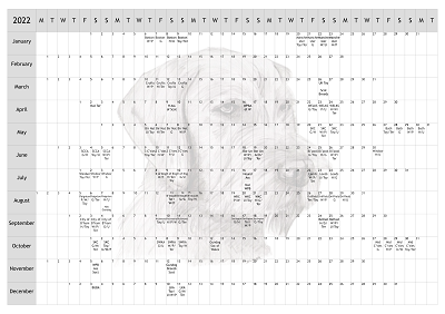 Hungarian W/H Vizsla Dog Show 2022 Year Planner A4