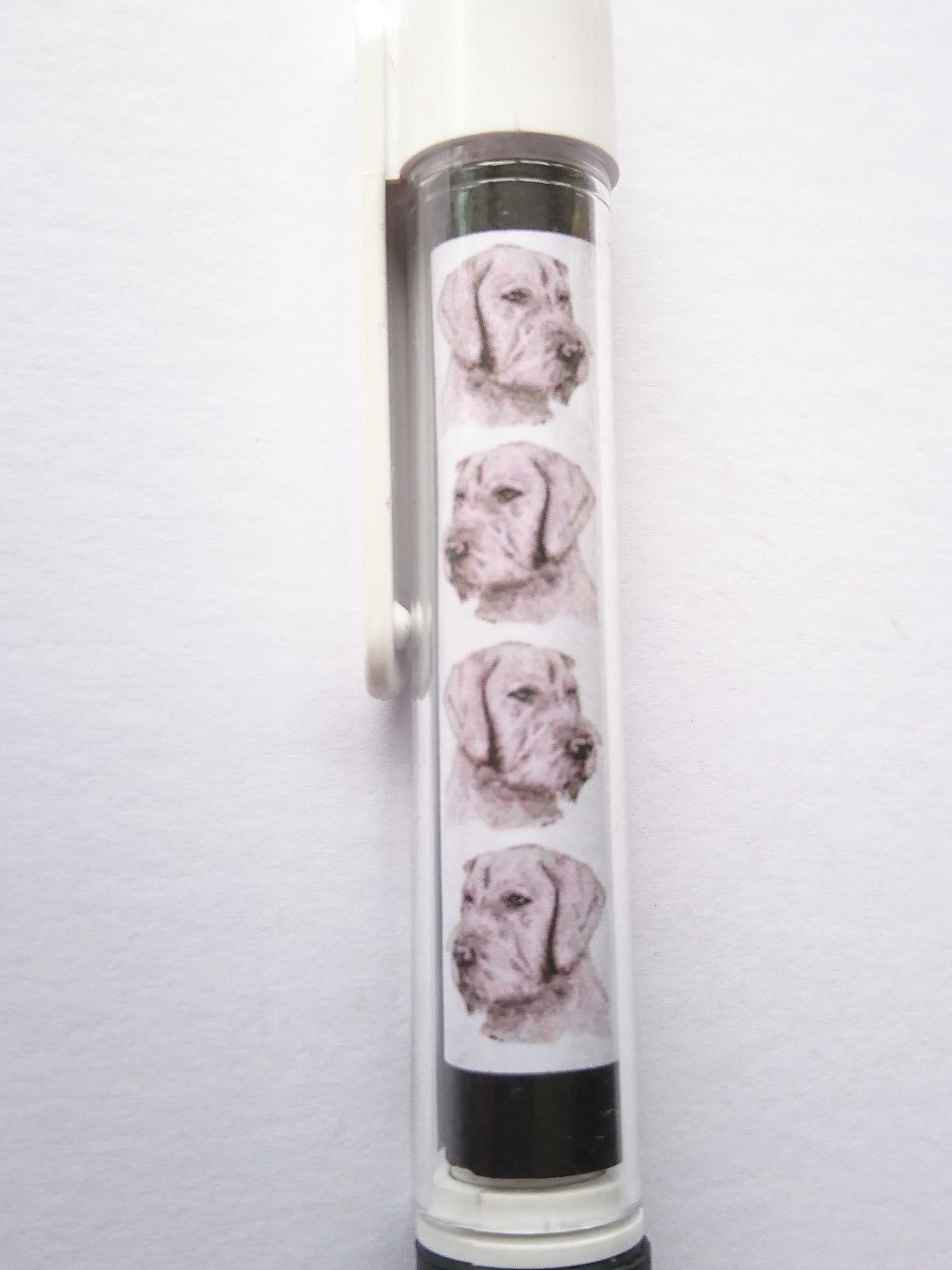 Hungarian Wire Haired Vizsla Pen