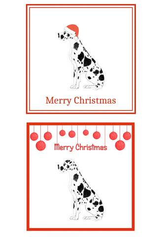 Harlequin Great Dane Christmas Cards Pack of 6