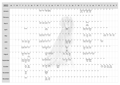 Irish Setter Dog Show 2022 Year Planner A4