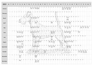 Irish Terrier Dog Show 2022 Year Planner A4