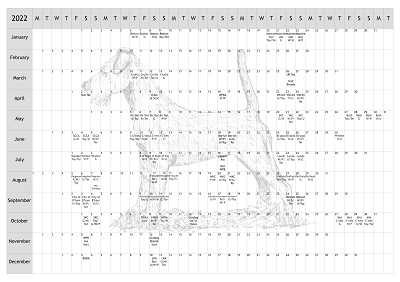 Irish Terrier Dog Show 2022 Year Planner A4