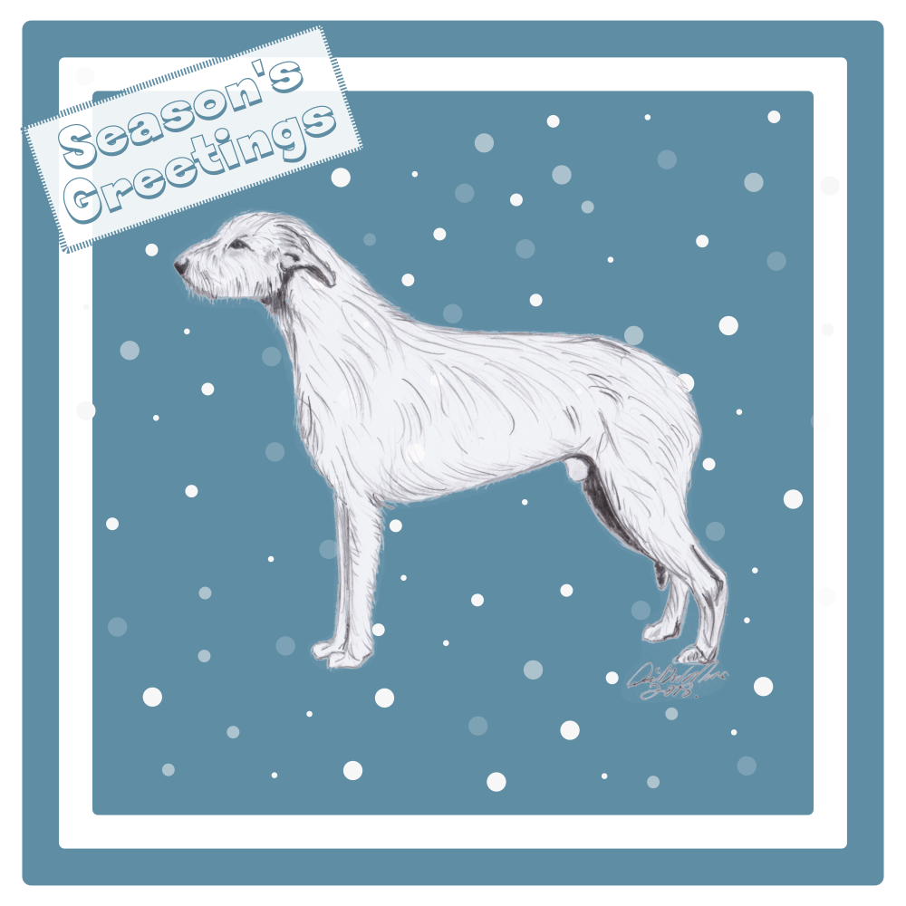 Irish Wolfhound Christmas Card Choice of 3 Card Designs Single or Multi Pack