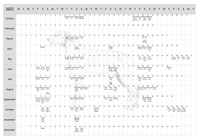 Irish Wolfhound Dog Show 2022 Year Planner A4
