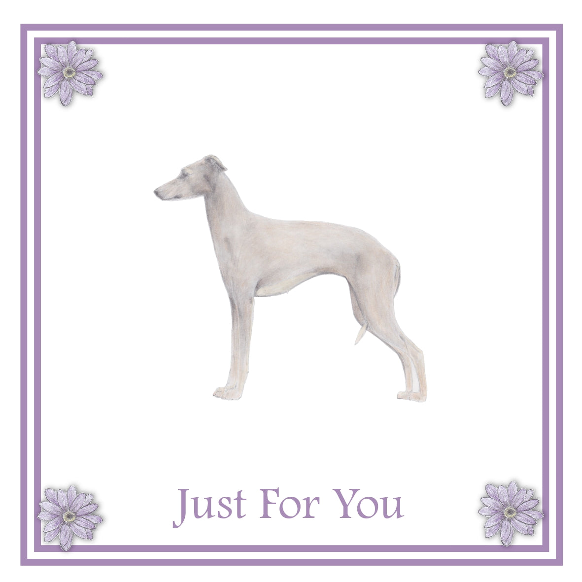 Italian Greyhound Greeting Card Choice of 6 Designs BIRTHDAY, THINKING OF YOU, BLANK