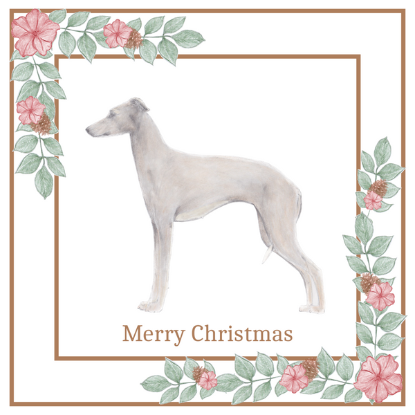 Italian Greyhound Christmas Card Choice of 3 Card Designs Single or Multi Pack