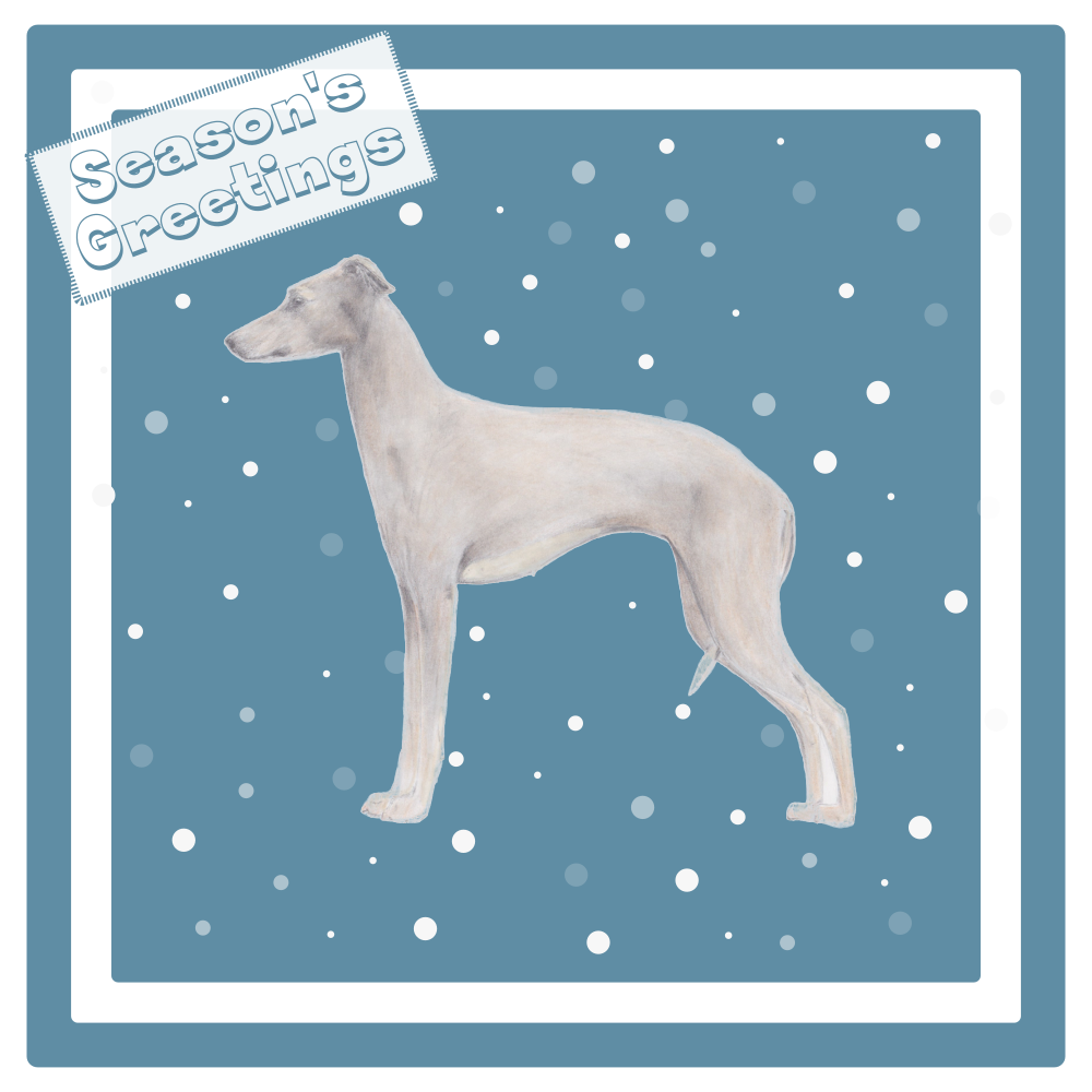 Italian Greyhound Christmas Card Choice of 3 Card Designs Single or Multi Pack