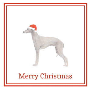 Italian Greyhound Christmas Card Choice of 3