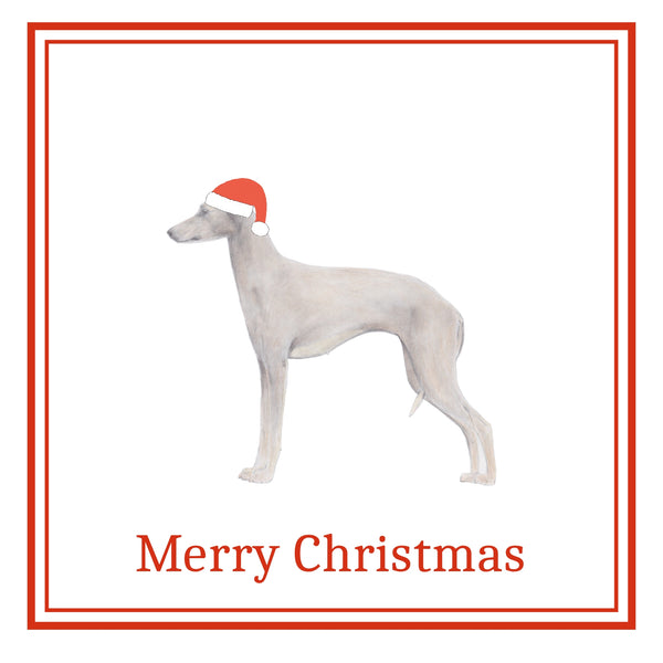 Italian Greyhound Christmas Card Choice of 3