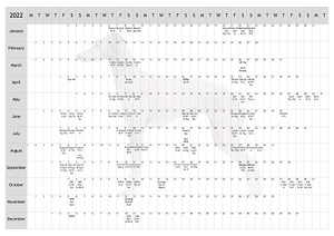 Italian Greyhound Dog Show 2022 Year Planner A4