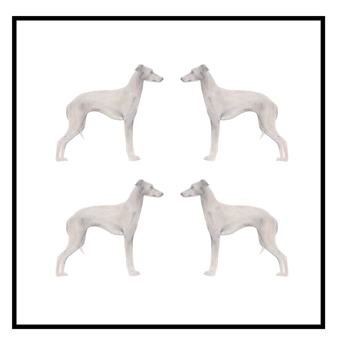 Italian Greyhound Greeting Card Choice of 6 Designs BIRTHDAY, THINKING OF YOU, BLANK