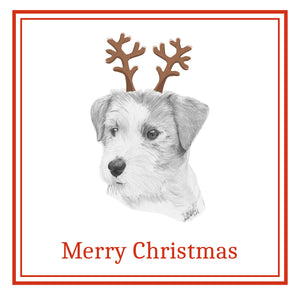 Jack Russell Terrier Christmas Card Choice of 3