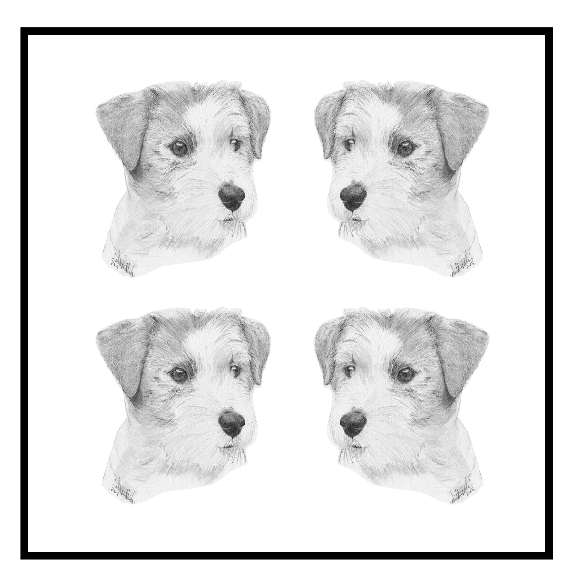 Jack Russell Terrier Greeting Card Choice of 6 Designs BIRTHDAY, THINKING OF YOU, BLANK
