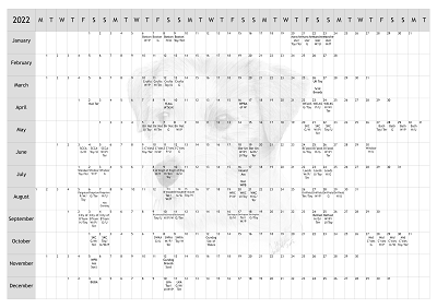 Jack Russell Terrier Dog Show 2022 Year Planner A4