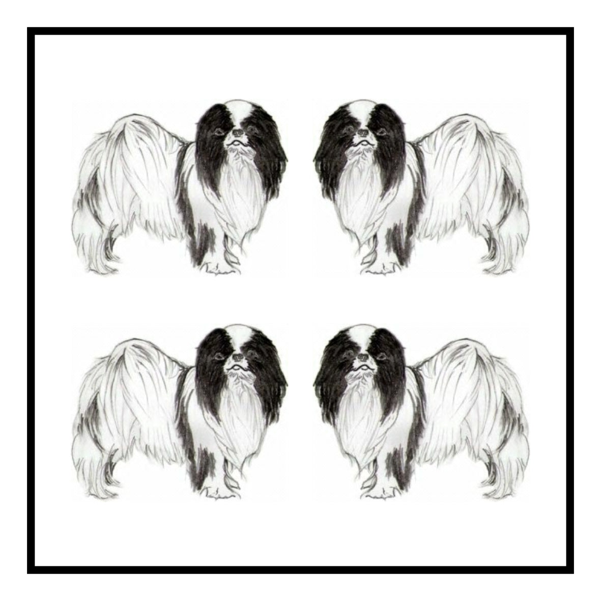 Japanese Chin Greeting Card Choice of 6 Designs BIRTHDAY, THINKING OF YOU, BLANK