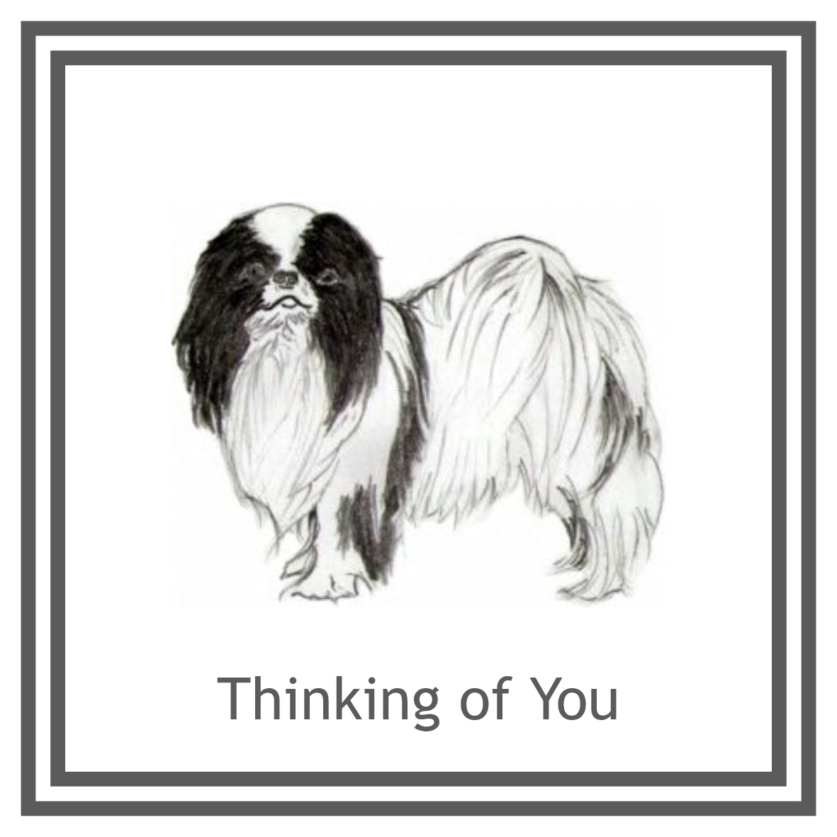 Japanese Chin Greeting Card Choice of 6 Designs BIRTHDAY, THINKING OF YOU, BLANK