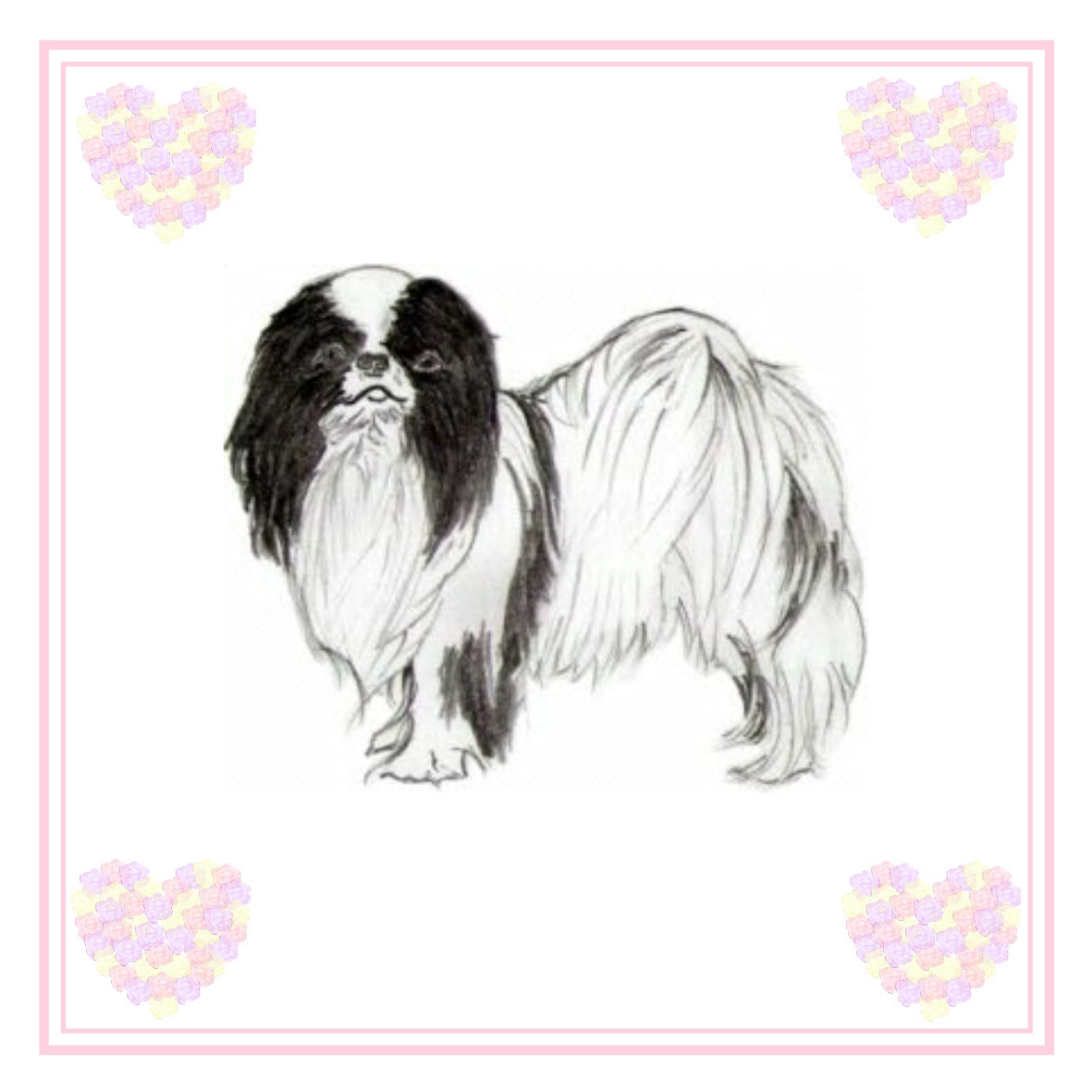 Japanese Chin Greeting Card Choice of 6 Designs BIRTHDAY, THINKING OF YOU, BLANK