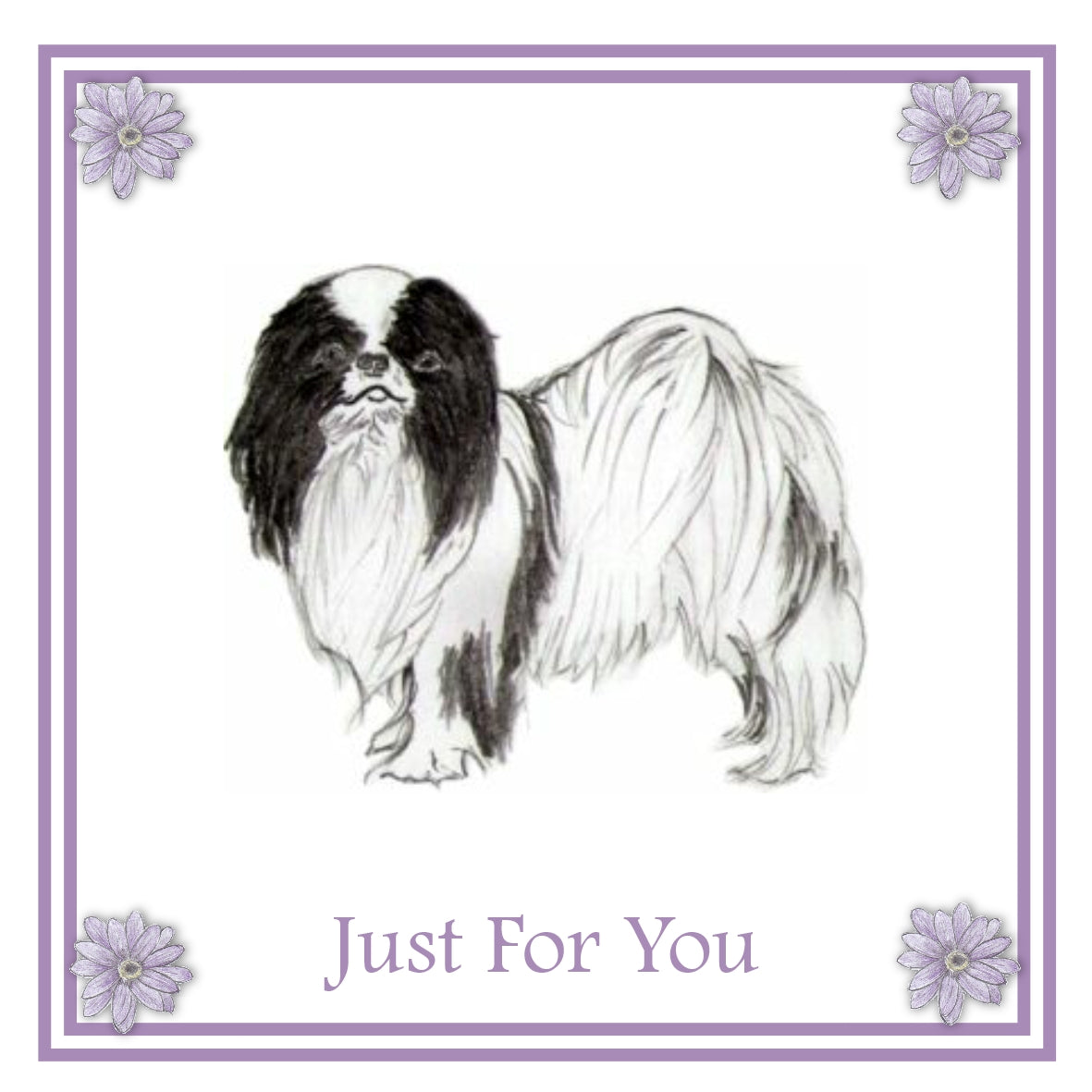 Japanese Chin Greeting Card Choice of 6 Designs BIRTHDAY, THINKING OF YOU, BLANK
