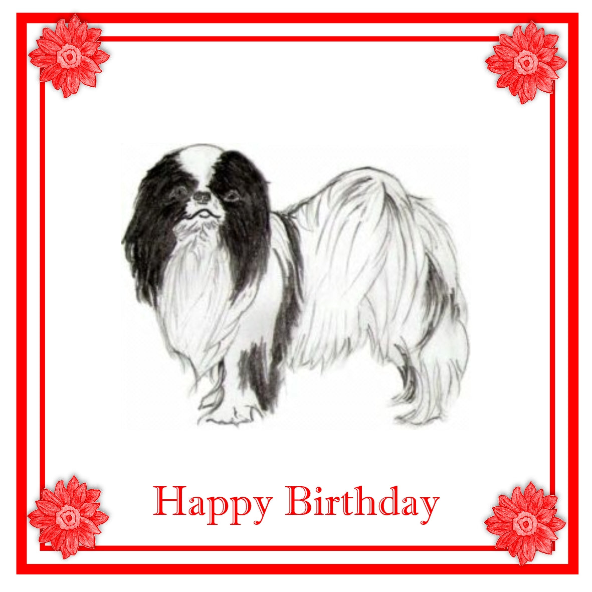 Japanese Chin Greeting Card Choice of 6 Designs BIRTHDAY, THINKING OF YOU, BLANK
