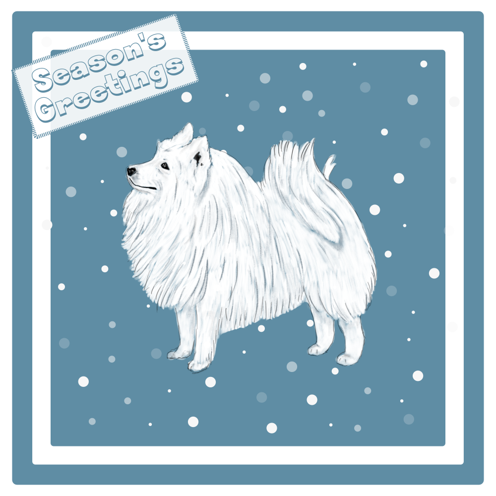 Japanese Spitz Christmas Card Choice of 3 Card Designs Single or Multi Pack