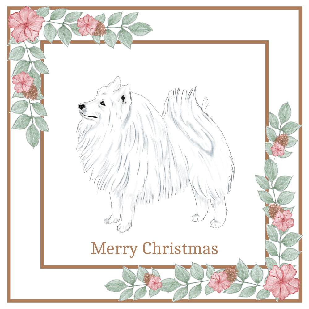 Japanese Spitz Christmas Card Choice of 3 Card Designs Single or Multi Pack