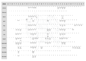 Japanese Spitz Dog Show 2022 Year Planner A4