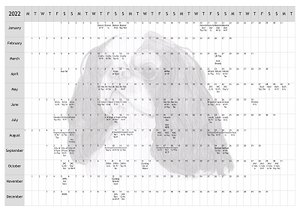 King Charles Spaniel KCS Dog Show 2022 Year Planner A4