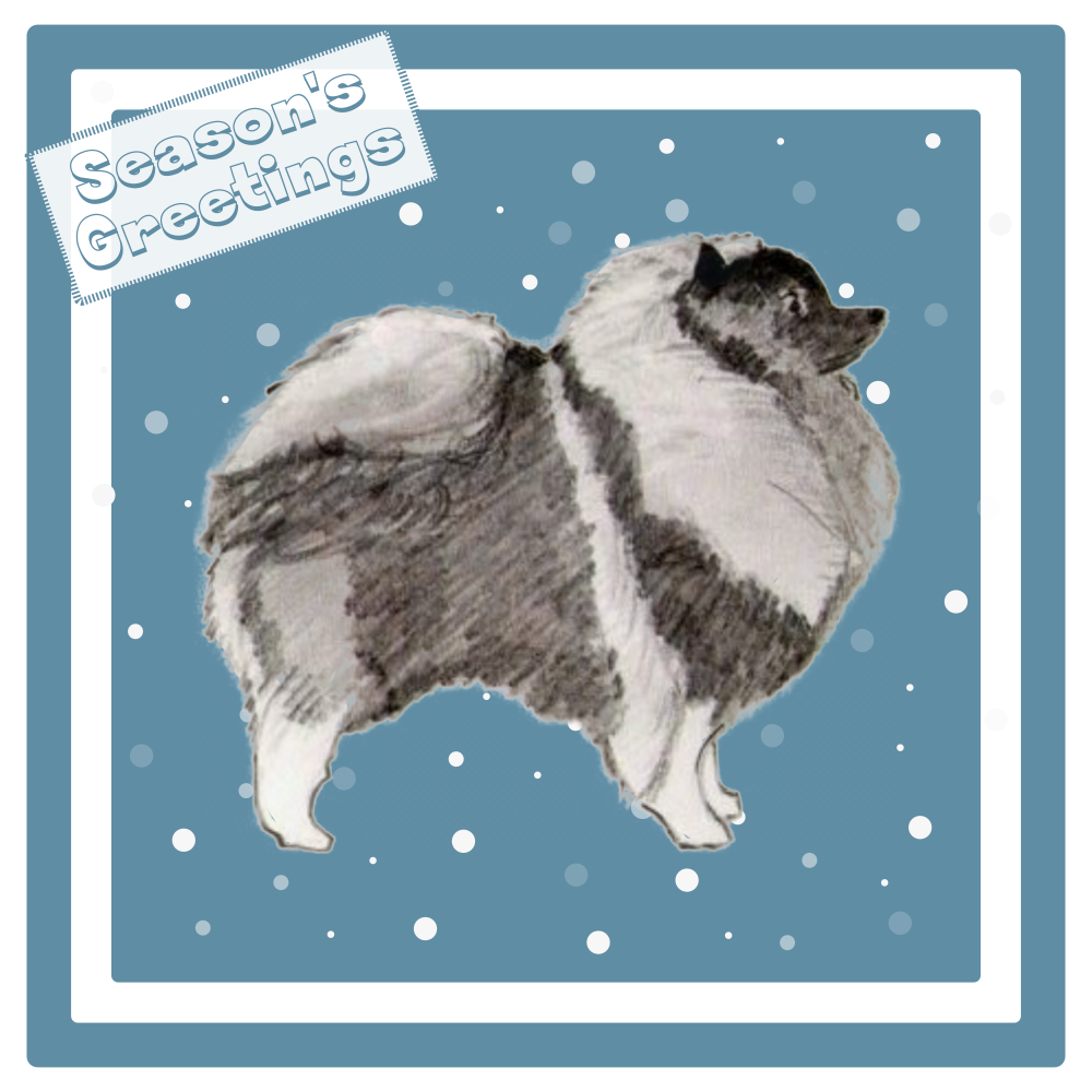 Keeshond Christmas Card Choice of 3 Card Designs Single or Multi Pack