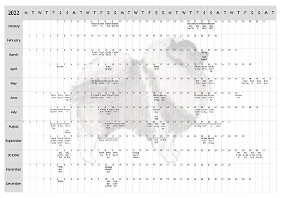 Keeshond Dog Show 2022 Year Planner A4