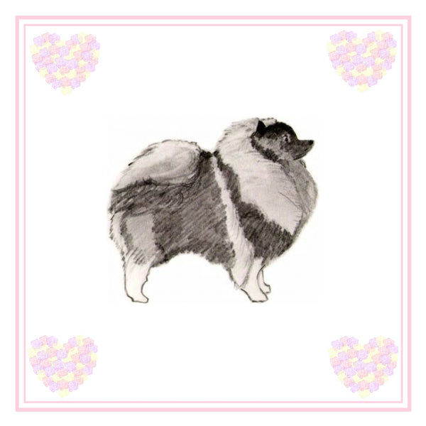 Keeshond Greeting Card Choice of 6 Designs BIRTHDAY, THINKING OF YOU, BLANK