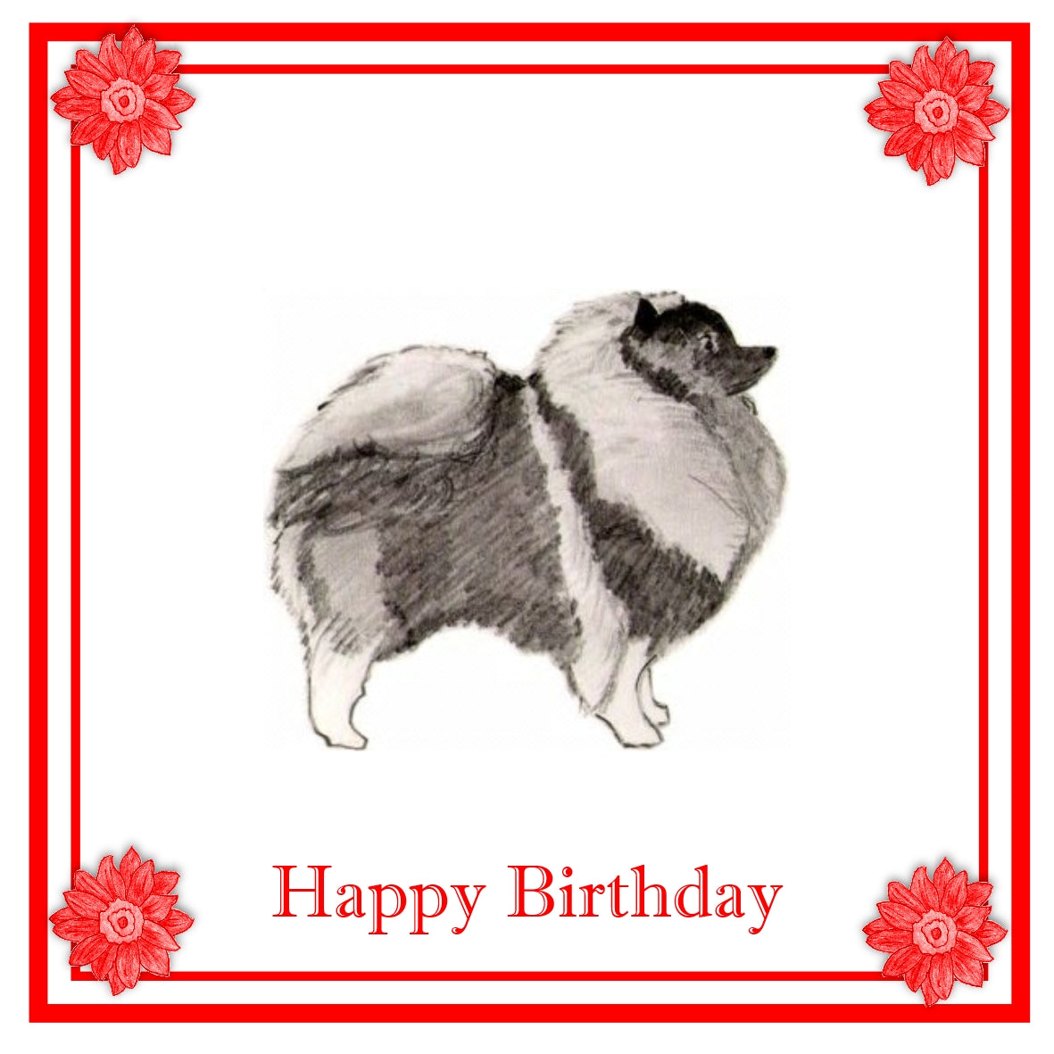 Keeshond Greeting Card Choice of 6 Designs BIRTHDAY, THINKING OF YOU, BLANK