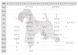 Kerry Blue Terrier Dog Show 2022 Year Planner A4