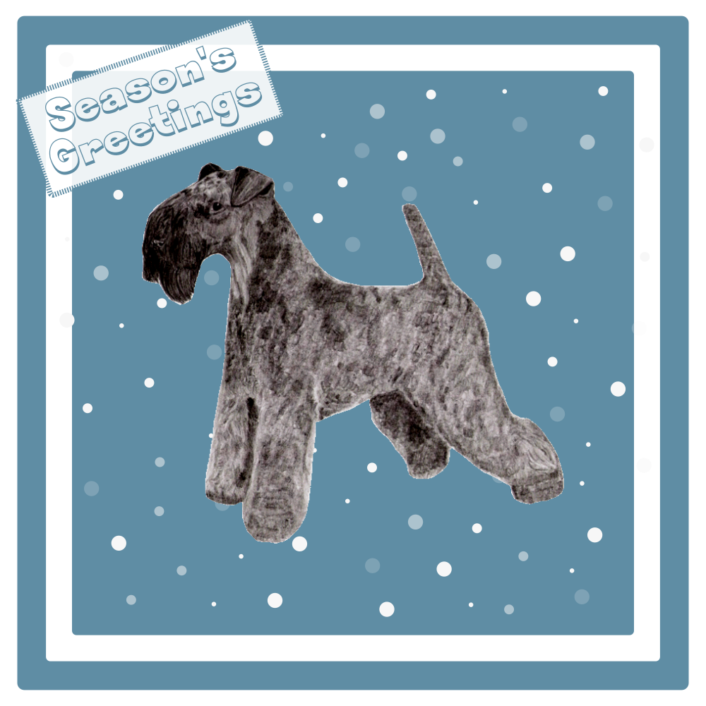 Kerry Blue Terrier Christmas Card Choice of 3 Card Designs Single or Multi Pack