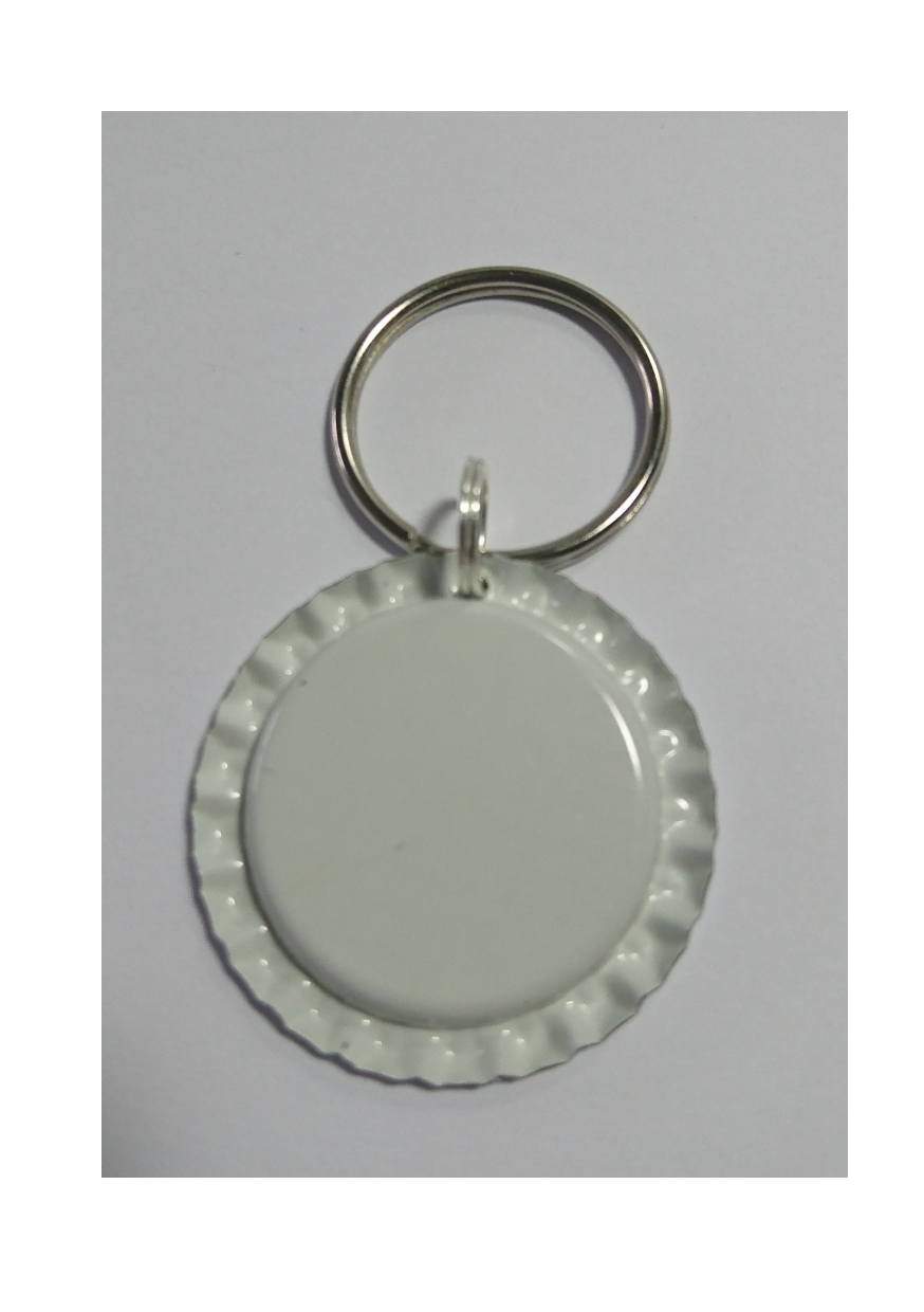 My Pet is Home Alone Keyring