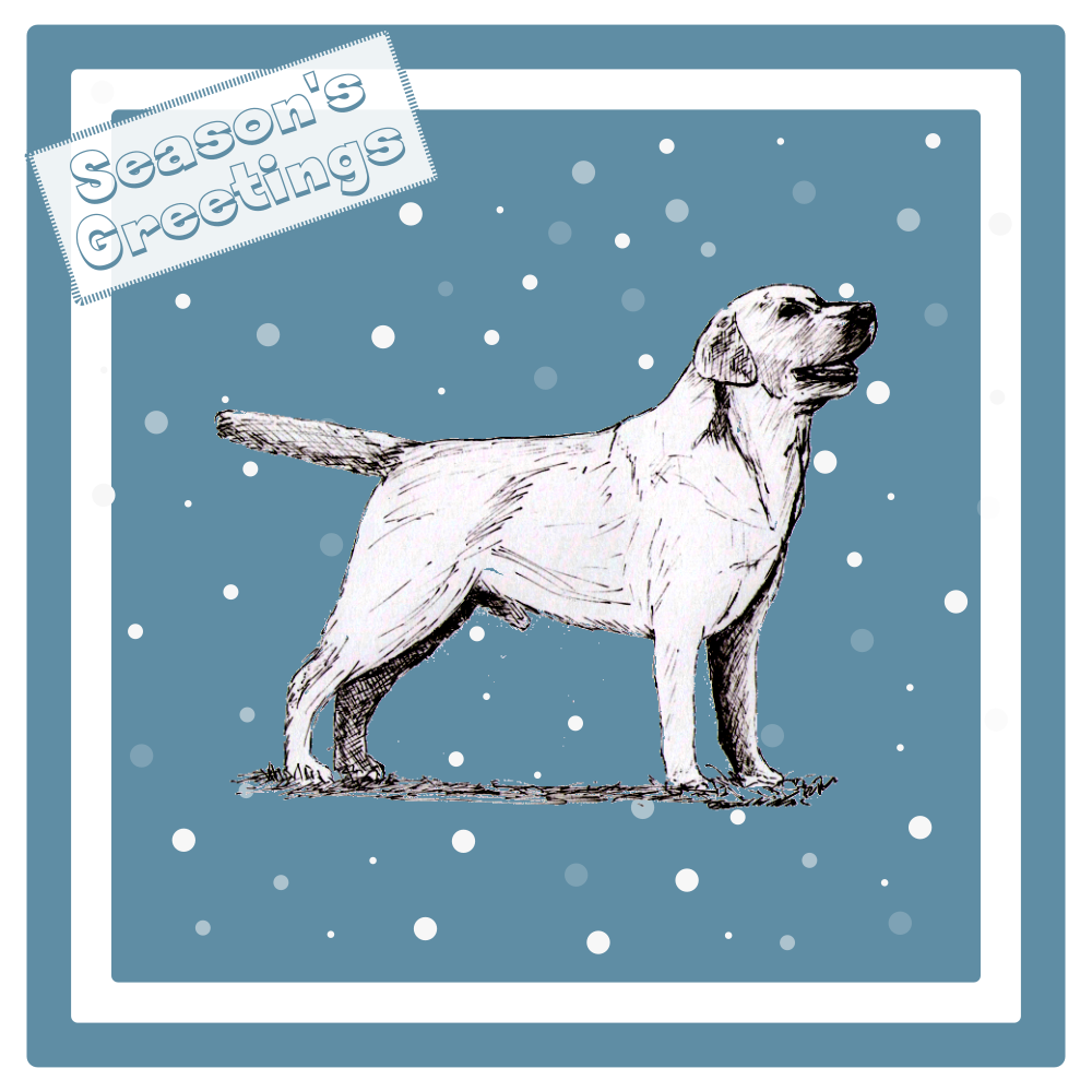 Labrador Retriever Christmas Card Choice of 3 Card Designs Single or Multi Pack